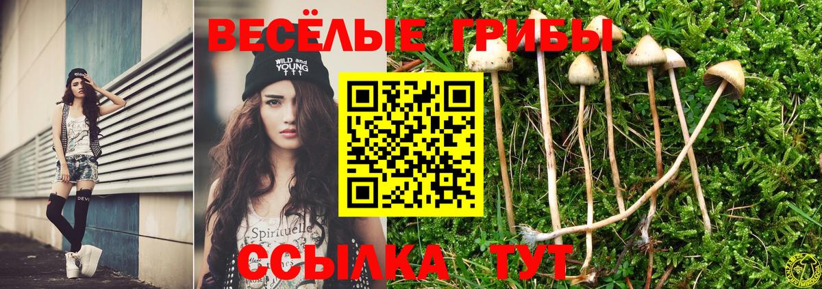 Галлюциногенные грибы мухоморы Барнаул