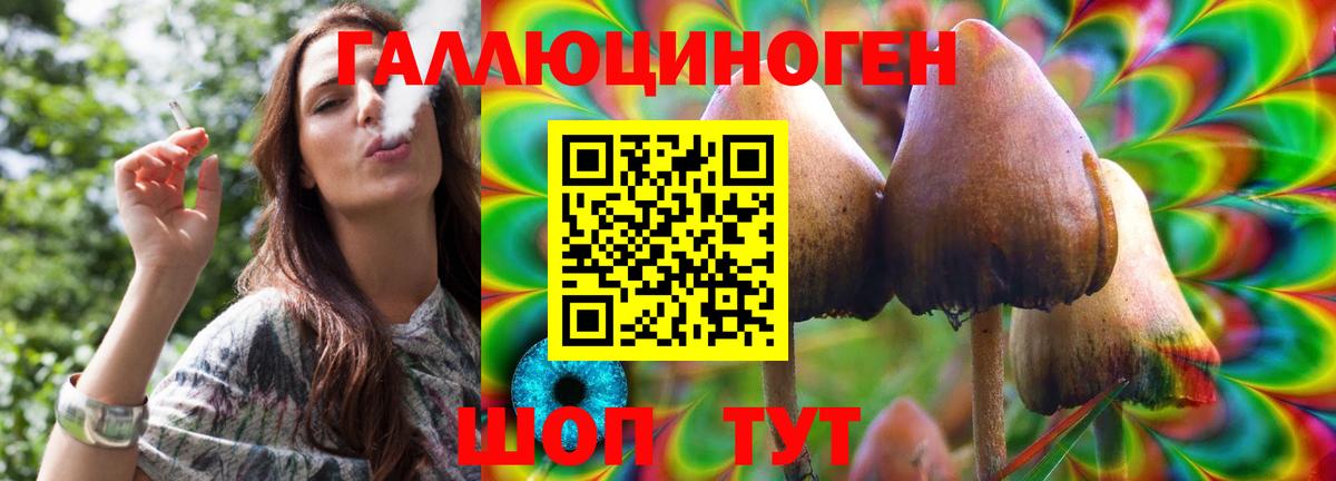где продают   Псилоцибиновые грибы Magic Shrooms  Вход с VPN  Барнаул 